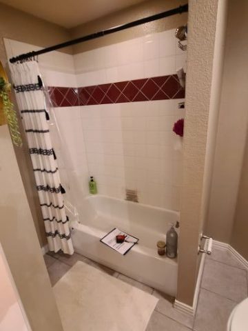 Bathtub and shower with red tile accent.